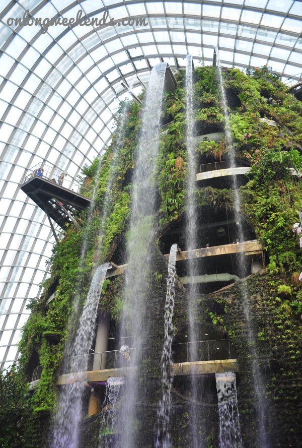 The waterfalls inside tha Rainforest Dome.